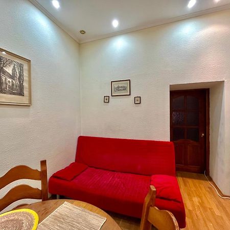 Apartment In The City Centre Lviv Bagian luar foto